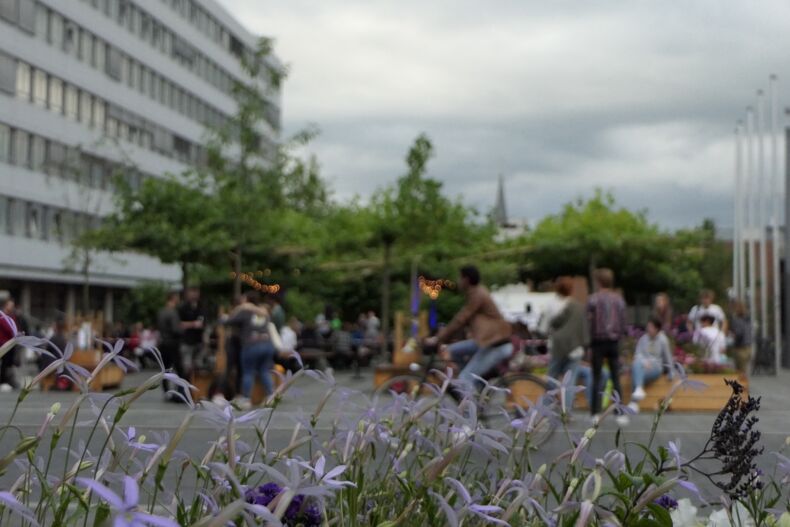 Das Bild zeigt blau-lila Pflanzen im Vordergrund und unscharf im Hintergrund eine Veranstaltung auf dem Platanenplatz am Templergraben.