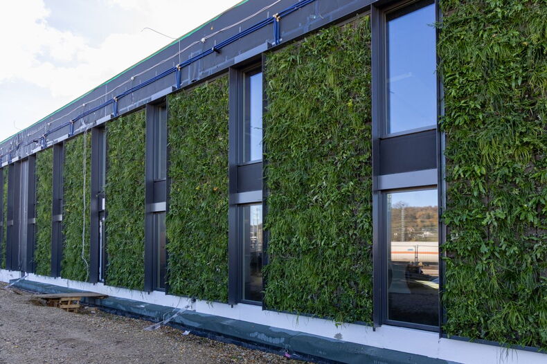 Das Bild zeigt die Fassade des im Bau befindlichen Neubaus für das VIA mit grün bepflanzten Bereichen zwischen den Fenstern.
