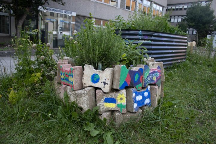 Das Bild zeigt ein Hochbeet aus kreisrund angeordneten Steinen im Campusgarten.